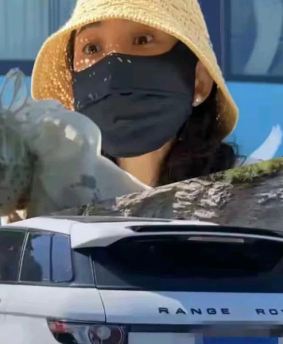 青岛路虎女插队引发打人事件，法律严惩揭示的深层次问题