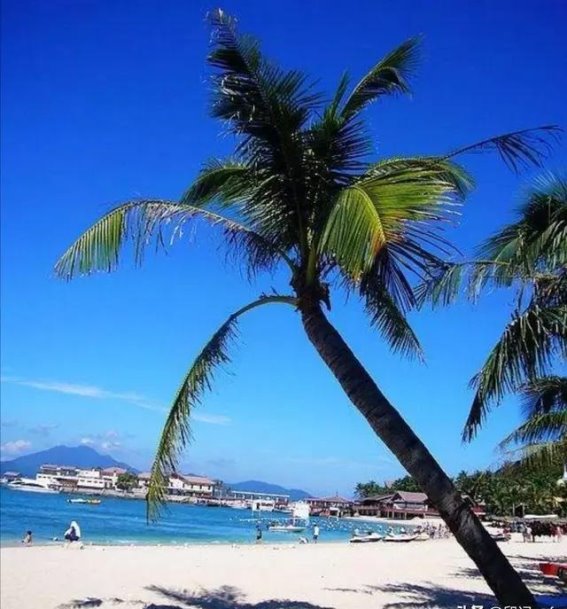 几月份去海南旅游最合适？海南，作为中国最南端的热带岛屿，一年四季都是旅游的好地方。可是，对于想要避寒避暑、享受阳光海滩的游客选择最佳的旅游时间显得尤为重要。几月份去海南旅游最合适呢？让我们一起来看看海南的气候特点，找出最适合的旅游时节。